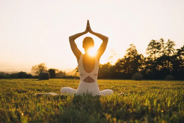 egg donor stimulation